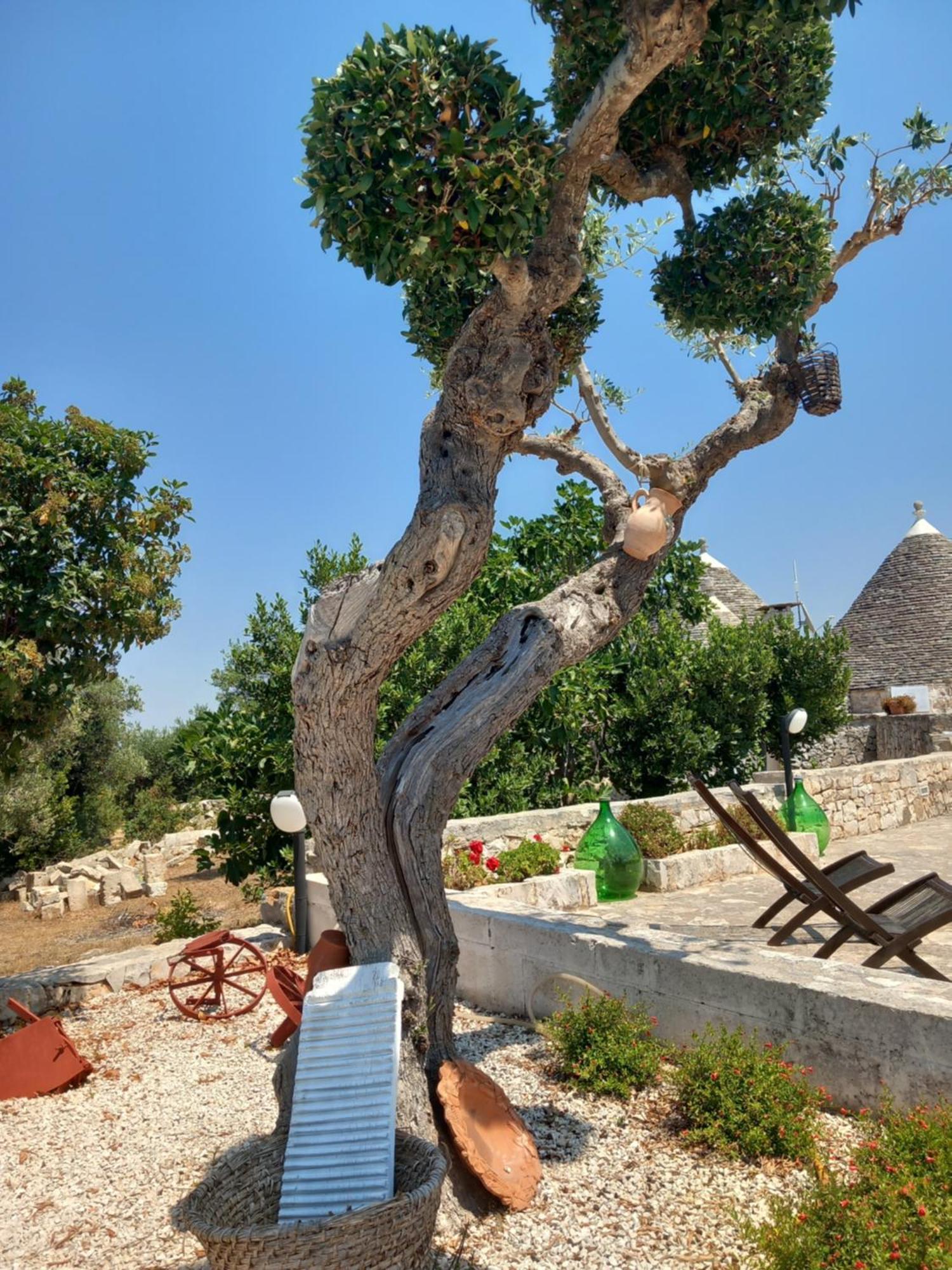 Trullo Monte Del Sale Guest House อัลเบโรเบลโล ภายนอก รูปภาพ