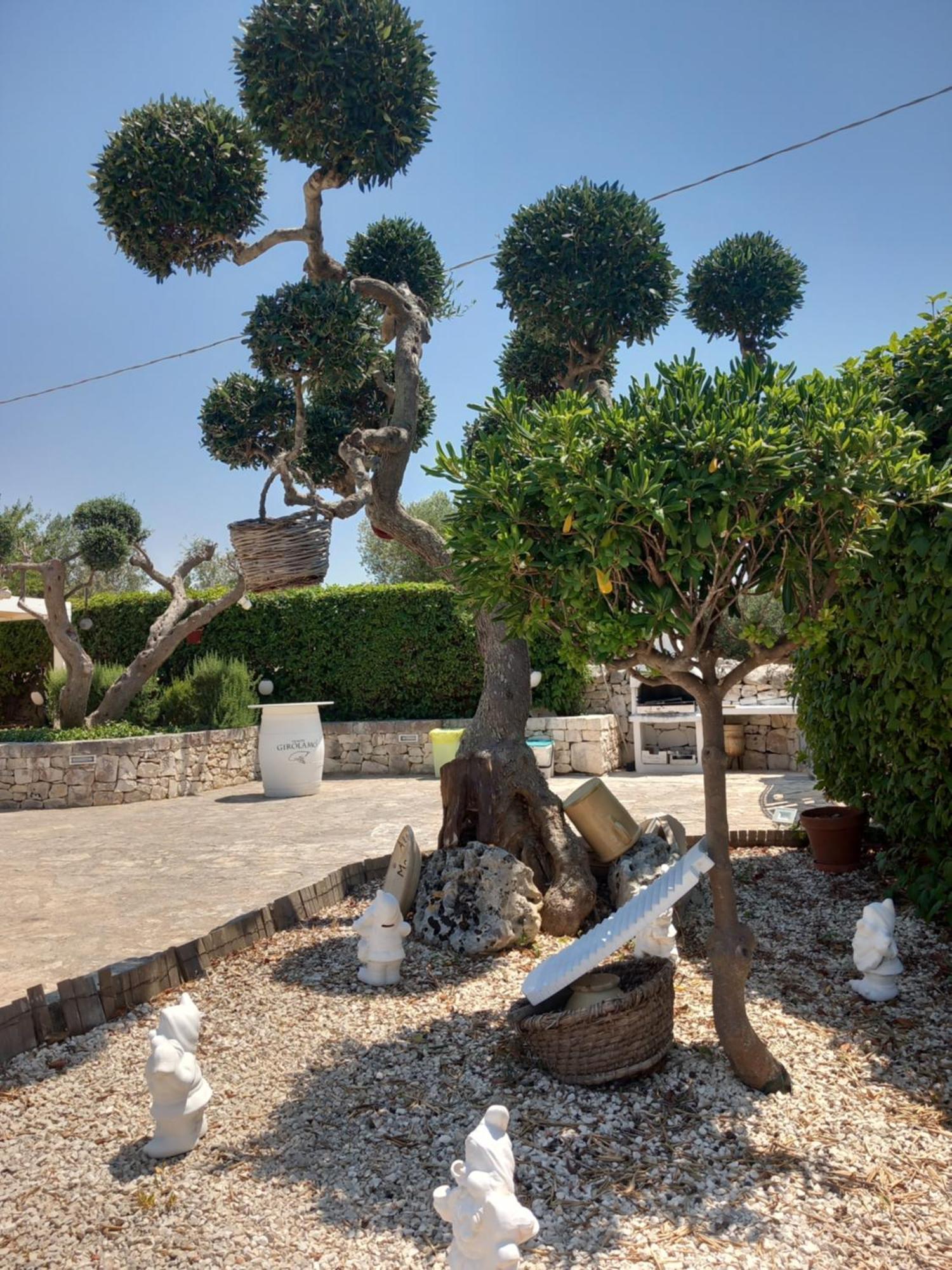 Trullo Monte Del Sale Guest House อัลเบโรเบลโล ภายนอก รูปภาพ