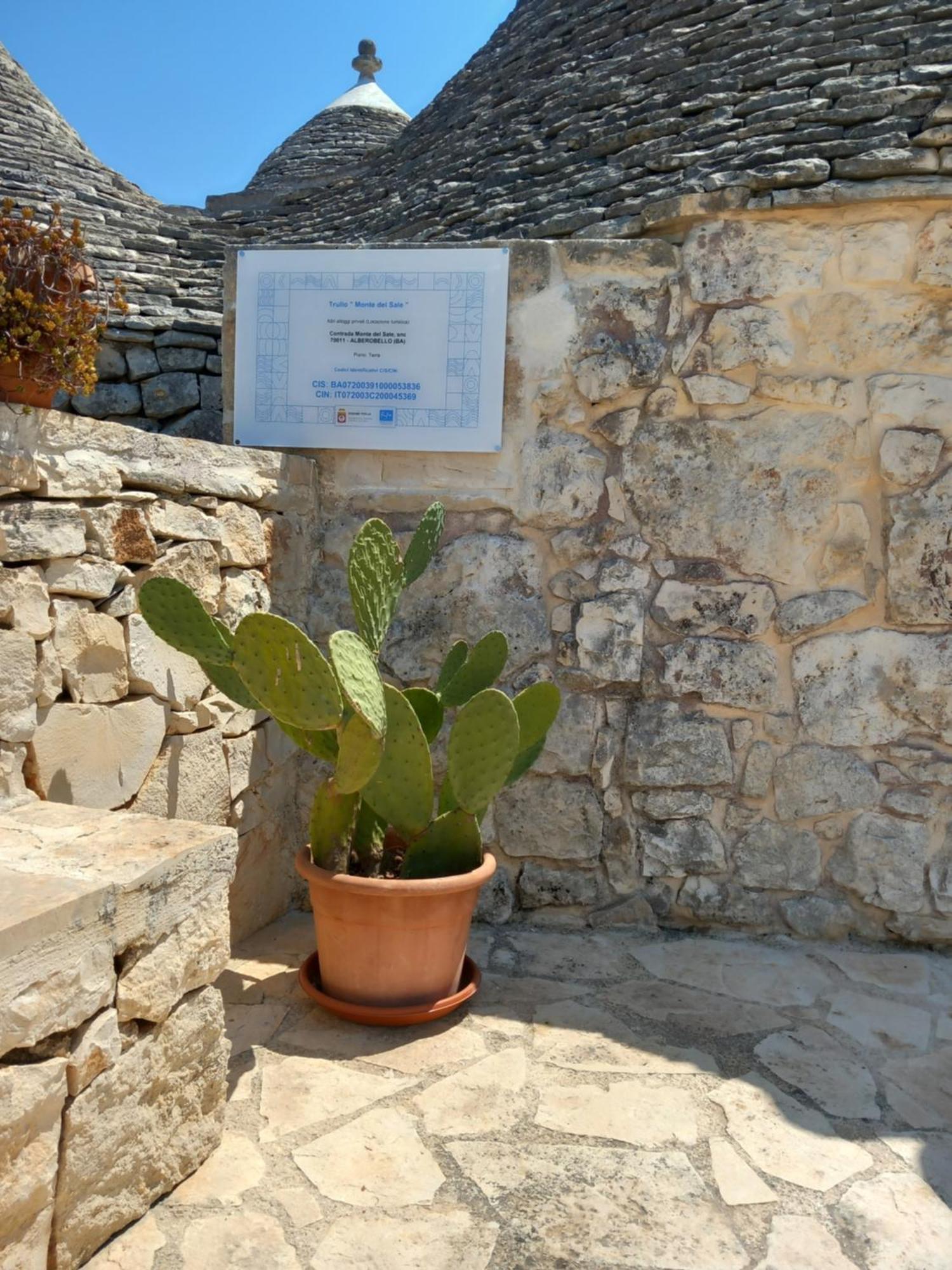 Trullo Monte Del Sale Guest House อัลเบโรเบลโล ภายนอก รูปภาพ