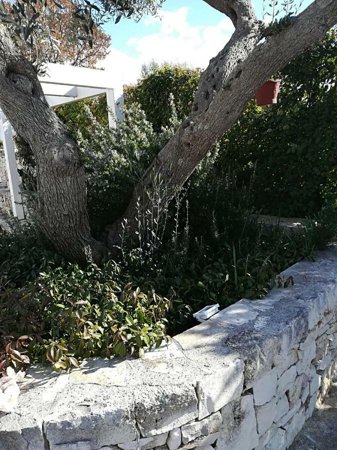 Trullo Monte Del Sale Guest House อัลเบโรเบลโล ภายนอก รูปภาพ
