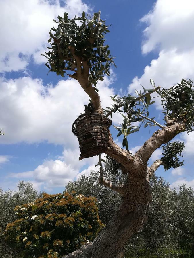 Trullo Monte Del Sale Guest House อัลเบโรเบลโล ภายนอก รูปภาพ