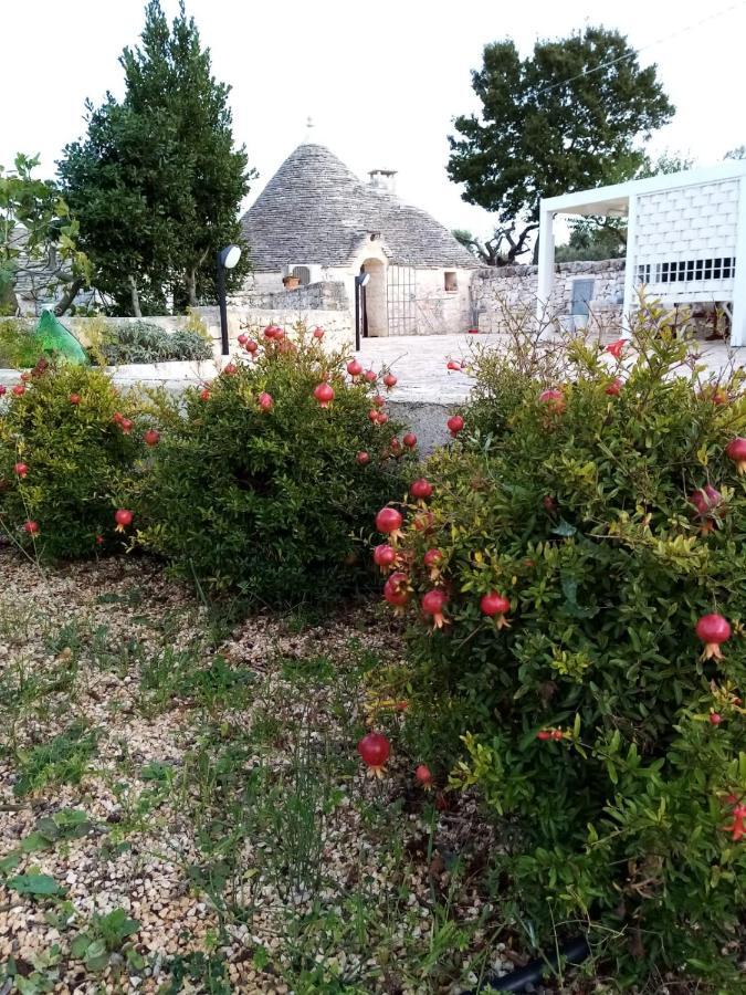 Trullo Monte Del Sale Guest House อัลเบโรเบลโล ภายนอก รูปภาพ
